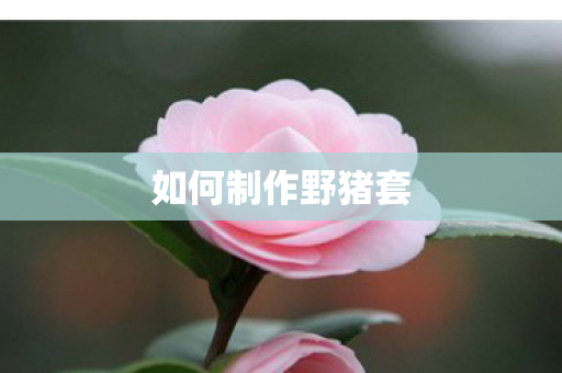 如何制作野猪套