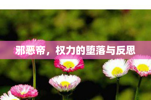 邪恶帝，权力的堕落与反思
