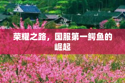 荣耀之路，国服第一鳄鱼的崛起