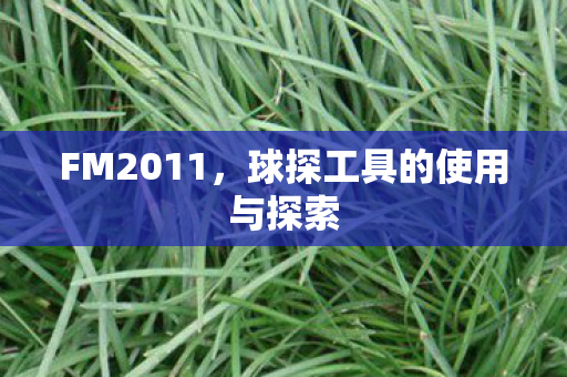 FM2011，球探工具的使用与探索
