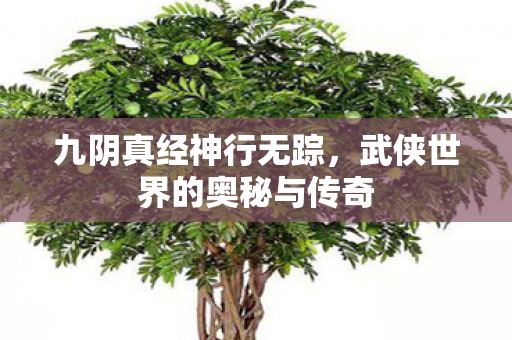 九阴真经神行无踪，武侠世界的奥秘与传奇