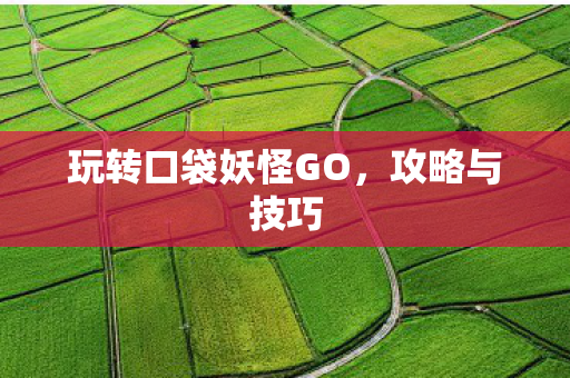玩转口袋妖怪GO，攻略与技巧