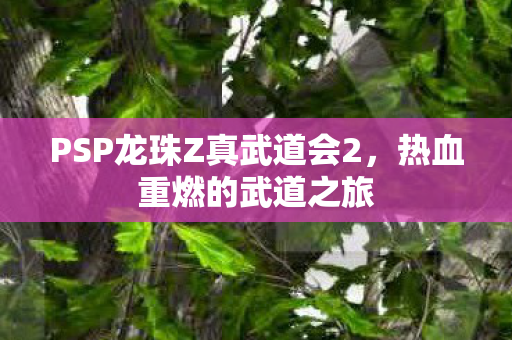 PSP龙珠Z真武道会2，热血重燃的武道之旅