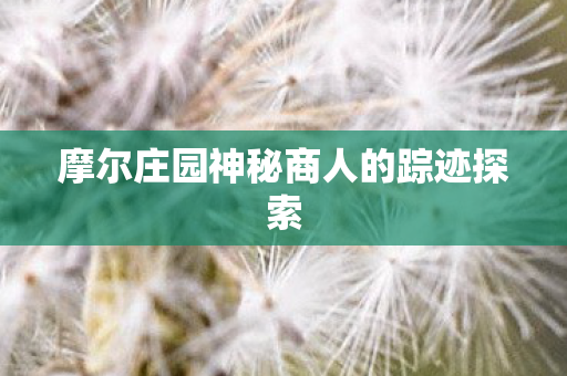 摩尔庄园神秘商人的踪迹探索