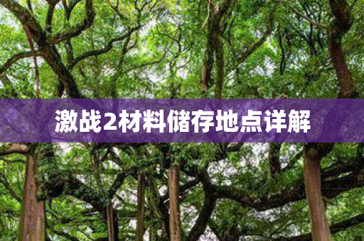 激战2材料储存地点详解