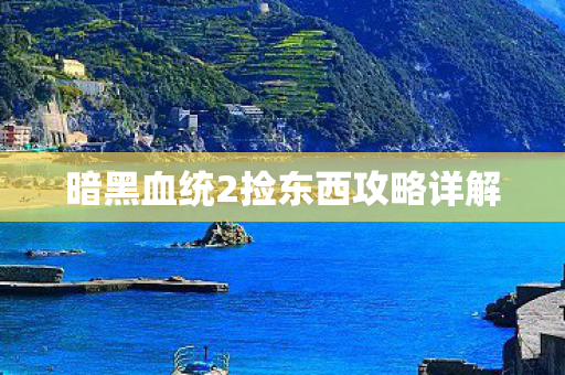 暗黑血统2捡东西攻略详解