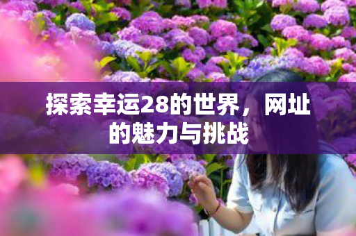 探索幸运28的世界，网址的魅力与挑战