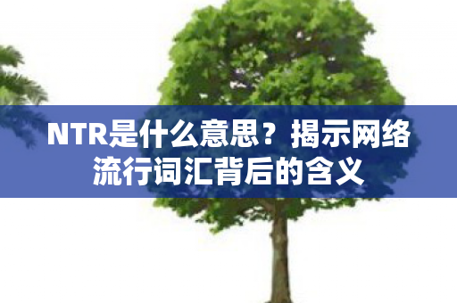 NTR是什么意思？揭示网络流行词汇背后的含义