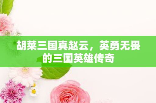 胡莱三国真赵云，英勇无畏的三国英雄传奇