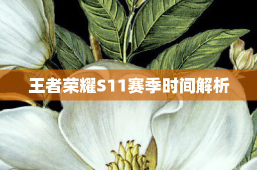 王者荣耀S11赛季时间解析