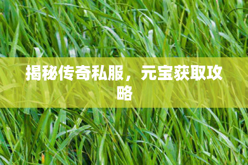 揭秘传奇私服，元宝获取攻略