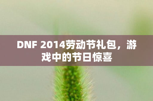DNF 2014劳动节礼包，游戏中的节日惊喜