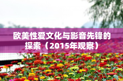 欧美性爱文化与影音先锋的探索（2015年观察）