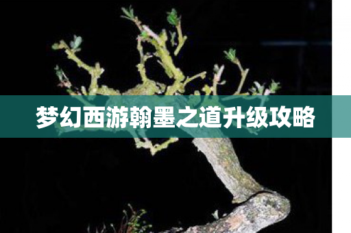 梦幻西游翰墨之道升级攻略