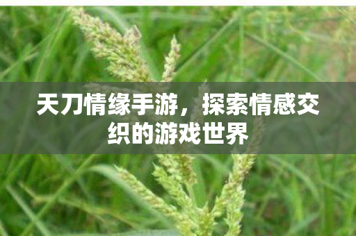 天刀情缘手游，探索情感交织的游戏世界