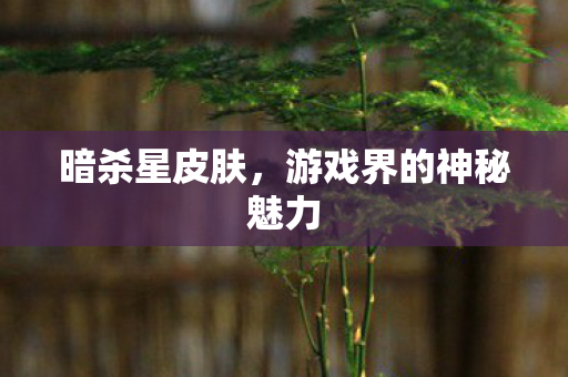 暗杀星皮肤，游戏界的神秘魅力