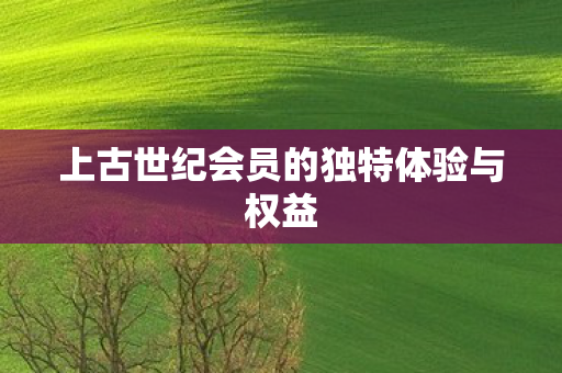 上古世纪会员的独特体验与权益
