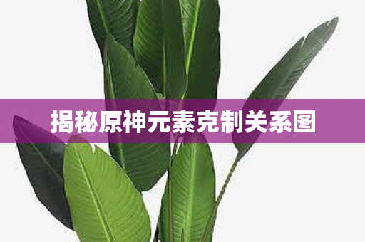 揭秘原神元素克制关系图