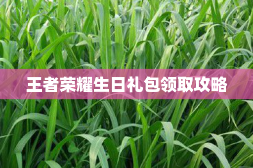 王者荣耀生日礼包领取攻略