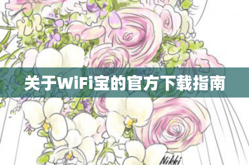关于WiFi宝的官方下载指南