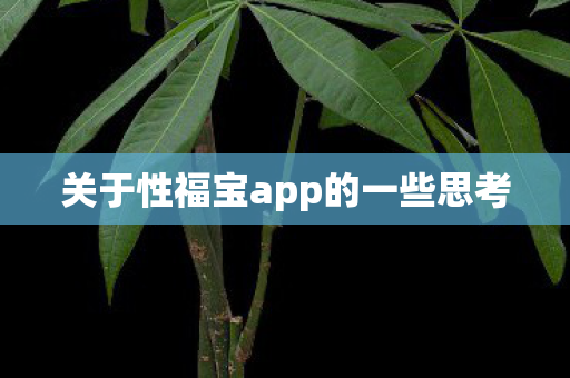 关于性福宝app的一些思考