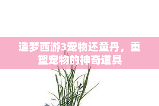 造梦西游3宠物还童丹，重塑宠物的神奇道具