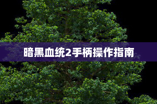 暗黑血统2手柄操作指南