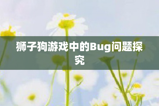 狮子狗游戏中的Bug问题探究