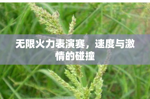 无限火力表演赛，速度与激情的碰撞