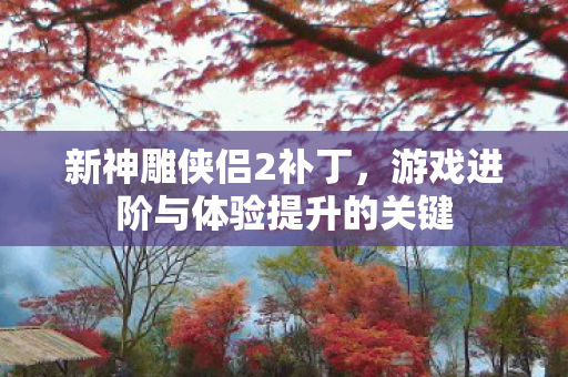 新神雕侠侣2补丁，游戏进阶与体验提升的关键