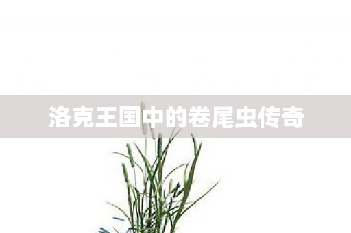 洛克王国中的卷尾虫传奇