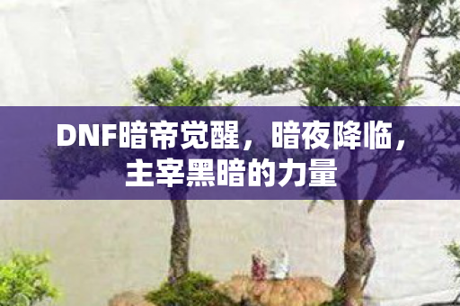 DNF暗帝觉醒，暗夜降临，主宰黑暗的力量