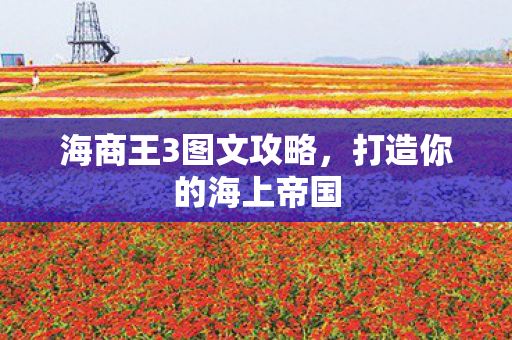 海商王3图文攻略，打造你的海上帝国
