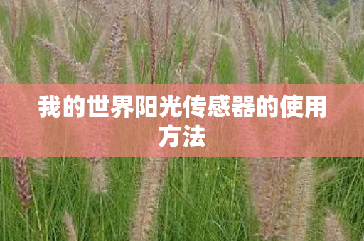 我的世界阳光传感器的使用方法