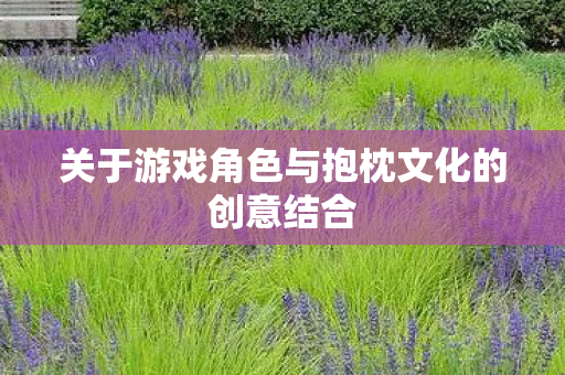 关于游戏角色与抱枕文化的创意结合