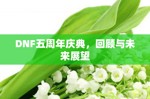 DNF五周年庆典，回顾与未来展望