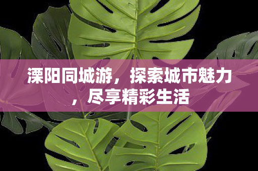 溧阳同城游，探索城市魅力，尽享精彩生活