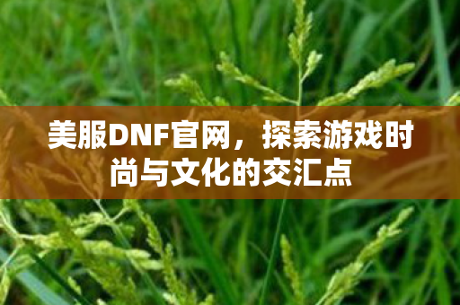 美服DNF官网，探索游戏时尚与文化的交汇点