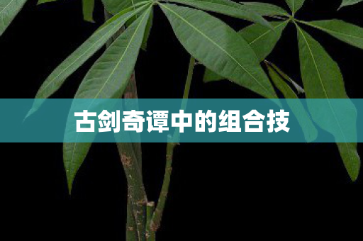 古剑奇谭中的组合技