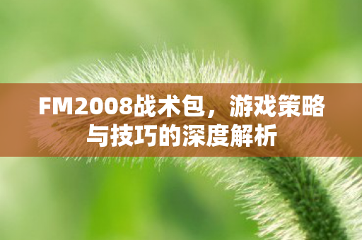 FM2008战术包，游戏策略与技巧的深度解析