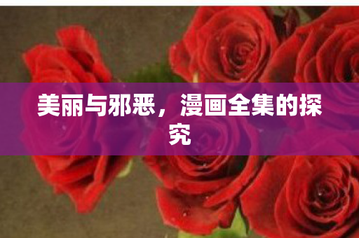 美丽与邪恶，漫画全集的探究