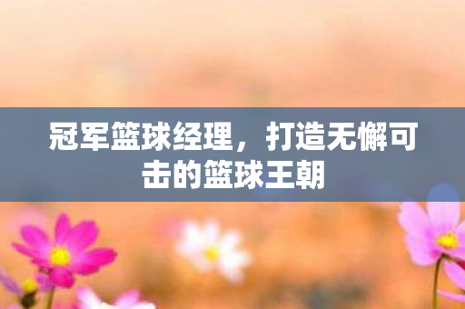 冠军篮球经理，打造无懈可击的篮球王朝