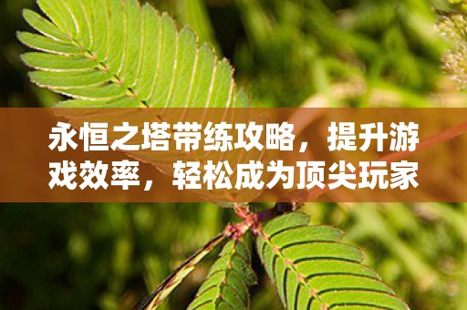 永恒之塔带练攻略，提升游戏效率，轻松成为顶尖玩家