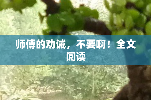 师傅的劝诫，不要啊！全文阅读