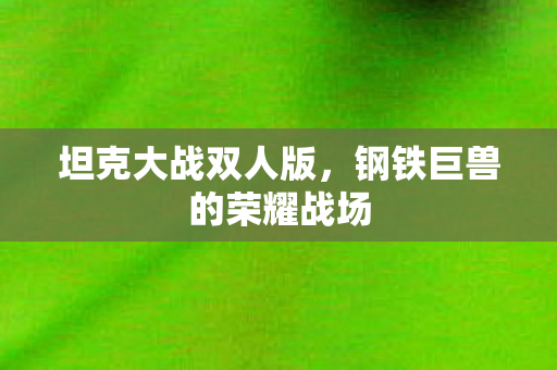 坦克大战双人版，钢铁巨兽的荣耀战场