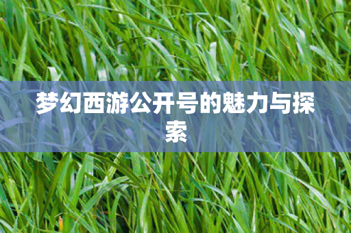 梦幻西游公开号的魅力与探索
