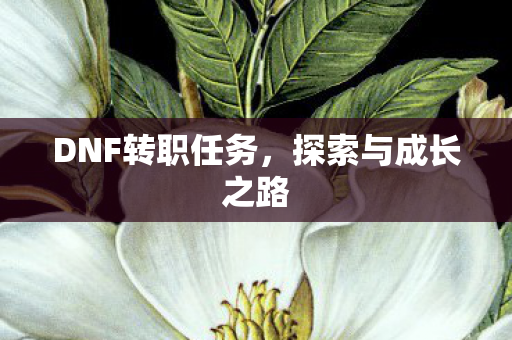 DNF转职任务，探索与成长之路