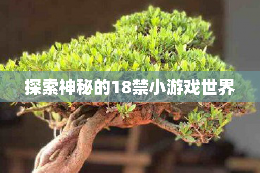 探索神秘的18禁小游戏世界