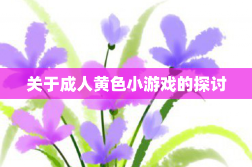 关于成人黄色小游戏的探讨