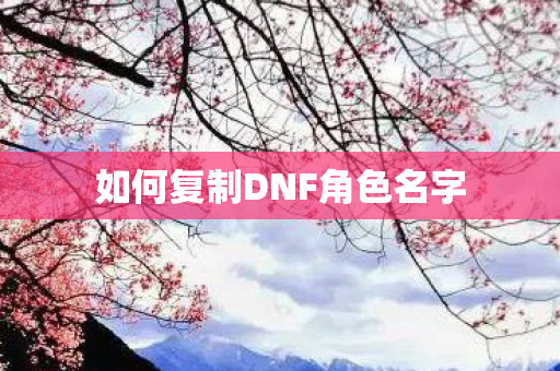 如何复制DNF角色名字